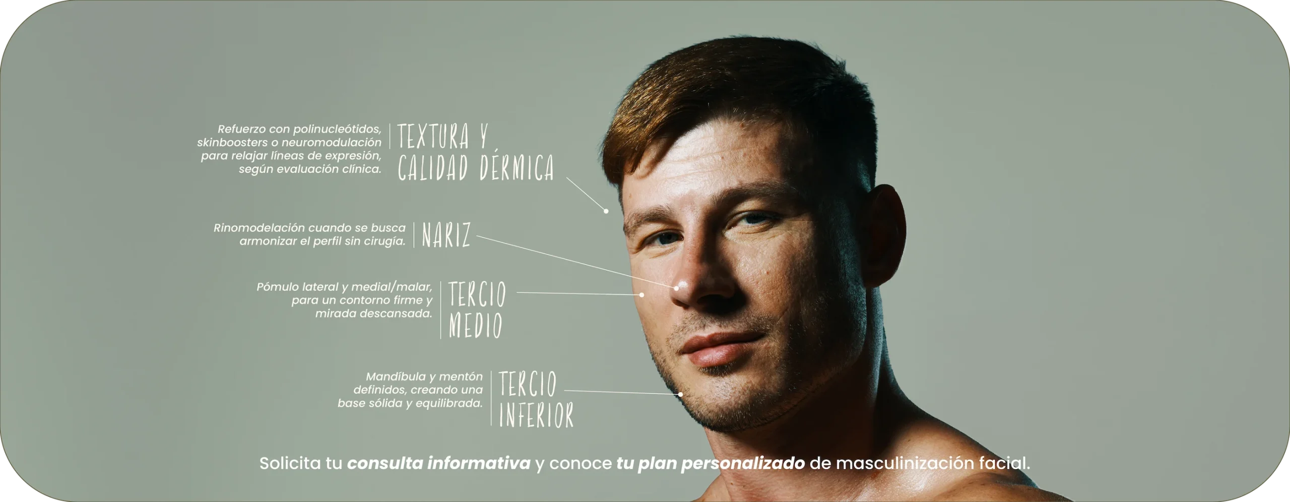 Mapa de zonas de tratamiento en masculinización facial: textura y calidad dérmica, nariz, tercio medio, tercio inferior